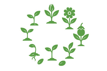 Plant life cycle icons showing growth stages from seed germination to mature fruit
