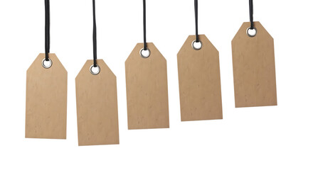 Blank Kraft Paper Tags with String Isolated | Rustic Brown Cardboard Labels Set