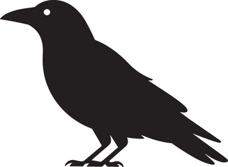 Fototapeta premium crow bird Black silhouette icon graphic element for nature designs