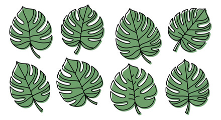 Illustration of eight monstera leaves with black outlines and green fill, arranged in two rows.