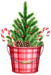 Watercolor Christmas evergreen tree with candy cane in plaid bucket