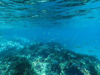 Dark blue ocean surface seen from underwater. Abstract waves underwater and rays of sunlight shining through, Sun light rays undersea deep, Underwater background with sea bottom, Mediterranean sea.
