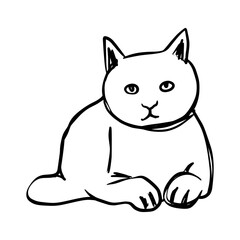 Cat illustration naive style hand drawing