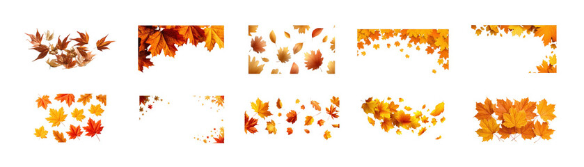 Fototapeta premium Collection of autumn leaves in diverse arrangements, showcasing vibrant colors and elegant designs, isolated on transparent background
