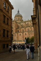 Naklejka premium catedral de salamanca