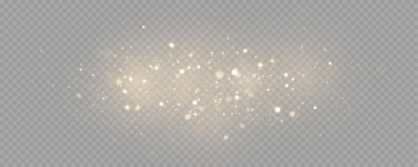 The dust sparks and golden stars shine with special light. Vector sparkles on a transparent background. . Stock royalty free vector illustration. PNG  © Vector light Studio