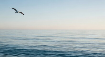 A seagull flying over a calm ocean under a clear light blue sky view