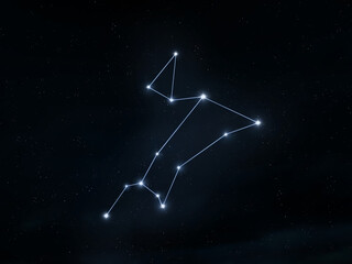Canis Major, the Greater Dog constellation in the sky. Stars are connected into an astrological figure. Astrological symbols. © Nazarii
