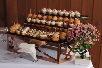 Elegant display of appetizers and desserts at a stylish event, featuring a variety of savory and sweet treats