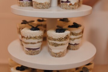 Delightful layered desserts with blueberries served on a tiered stand at a gathering