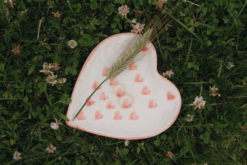 Heart-shaped plate with wedding rings and flowers in a grassy field during daytime