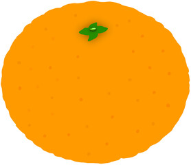 vector illustration of orange fruit