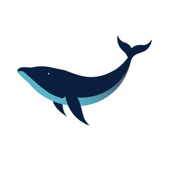 flat minimal whale vector illustration modern
