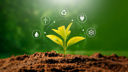 Green growing plant, ecology concept