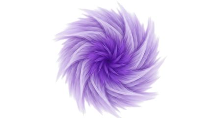 purple feathers on white background