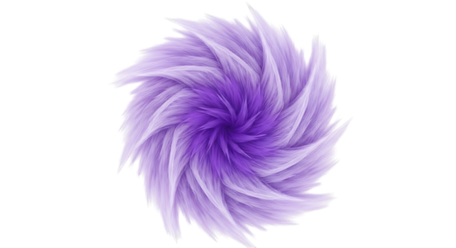 purple feathers on white background