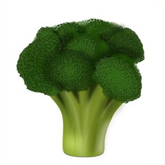 A bright green head of broccoli with dense florets and a juicy, thick stem. A symbol of natural benefits and healthy eating.