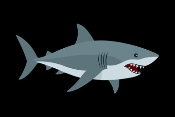 shark vector illustration