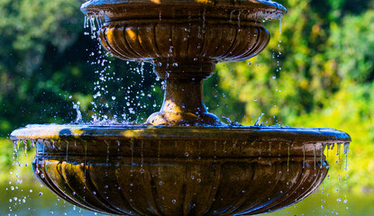 fountain in the garden