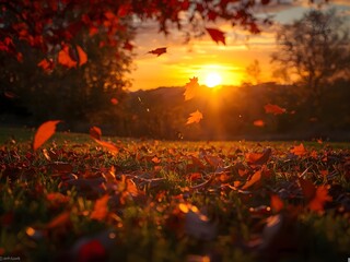 Golden hour autumn leaves dance in the breeze across a grassy field as the sun sets creating a magical, warm, and inviting natural landscape scene