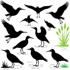 Silhouette collection of various wading birds in different poses on white