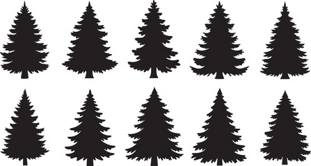 Obraz premium Silhouette Set of Pine Trees fir tree conifer