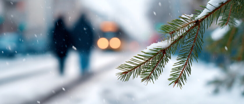 Close-up of snow-covered pine tree branch with blurred winter street scene and pedestrians in background during snowfall