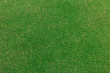 Top view green putting golf with top soil, Top soil green grass and sand, Putting green golf course repair maintenance, Green grass texture and background.