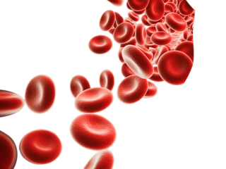 Microscopic view of red blood cells flowing and clustered together isolated on transparent background