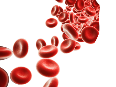 Microscopic view of red blood cells flowing and clustered together isolated on transparent background