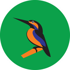 Kingfisher bird perched on a branch vector