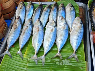 steamed mackerel display, fish market display