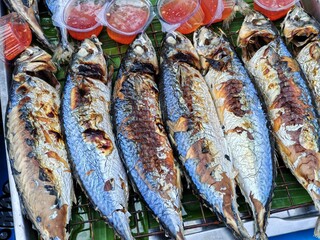 steamed mackerel display, fish market display