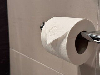 White toilet paper roll hanging on simple wall-mounted holder in clean minimal bathroom interior with soft daylight and neutral tones