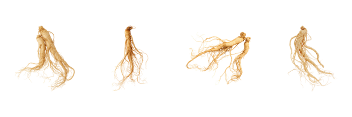 Ginseng Root Collection. Herbal Medicine And Natural Health Remedies Set Isolated On Transparent Background