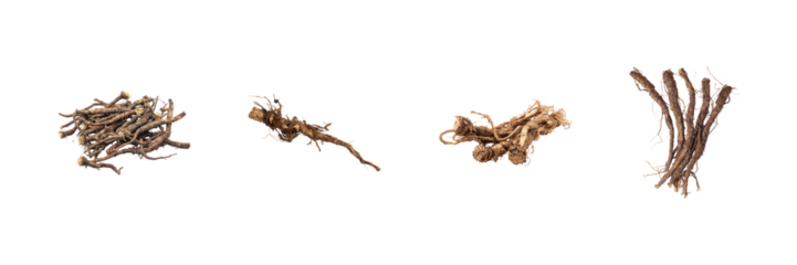 Dried Herbal Roots Collection Set. Natural Remedies And Traditional Medicine Ingredients Isolated On Transparent Background