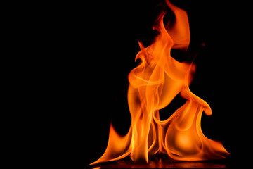 Beautiful fire flames on a black background.