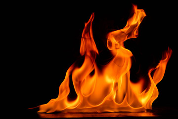 Beautiful fire flames on a black background.