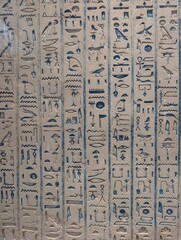 Ancient Script Carvings: An intricate close-up of historical hieroglyphs adorning a weathered wall, a glimpse into an ancient civilization, whispering tales of a bygone era.