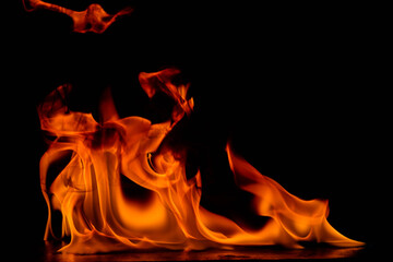 Complex multi-flame dense group with varying heights and overlapping forms against black...
