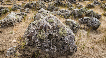 Close up on a rock in Pobiti Kamani - natural phenomenon called Stone Forest, Bulgaria