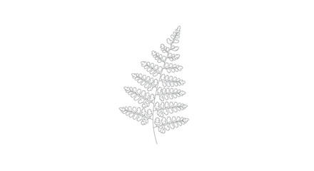 Fern frond outline sketch vector illustration