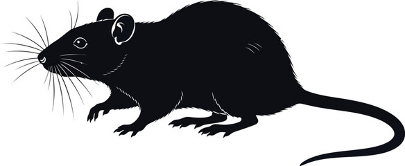 Black rat silhouette vector illustration rodent pest control image eps