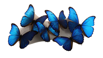 A stunning arrangement of vibrant blue butterflies, posed on an off-white surface