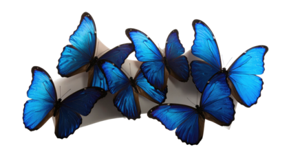 A stunning arrangement of vibrant blue butterflies, posed on an off-white surface