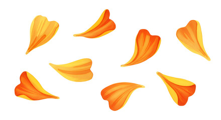 Fototapeta premium A vibrant collection of isolated orange and yellow flower petals, beautifully illustrated with a delicate, watercolor-like texture
