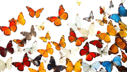 A vibrant, close-up display of a multitude of butterflies, a kaleidoscope of colours against black