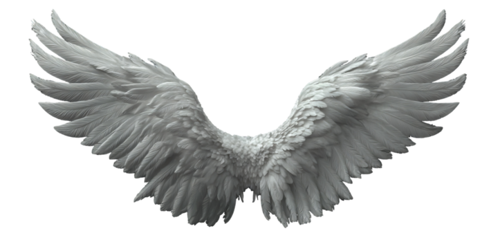 Majestic white angel wings spread, detailed feathers, ethereal symbol isolated on transparent background