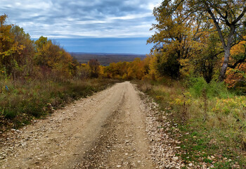A fairy-tale autumn forest in all its colors and a dirt road during the seasonal period in the foothill area