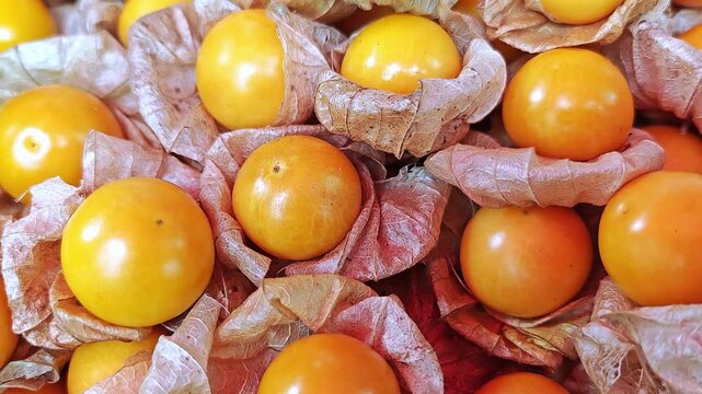 A large quantity of fresh, vibrant yellow cape gooseberries, looking bright and delicious.
